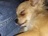 Filename=20240308_002.jpg
Filesize=802KiB
Dimensions=2048x1536
Date added=Apr 11, 2024 20240308_002.jpg