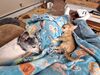 Filename=20240310_001.jpg
Filesize=675KiB
Dimensions=2048x1536
Date added=Apr 11, 2024 20240310_001.jpg