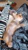 Filename=20240311_001.jpg
Filesize=399KiB
Dimensions=1152x2048
Date added=Apr 11, 2024 20240311_001.jpg