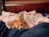 Filename=20240311_003.jpg
Filesize=299KiB
Dimensions=2048x1536
Date added=Apr 11, 2024 20240311_003.jpg
