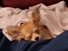 Filename=20240311_004.jpg
Filesize=306KiB
Dimensions=2048x1536
Date added=Apr 11, 2024 20240311_004.jpg