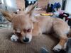 Filename=20240313_004.jpg
Filesize=485KiB
Dimensions=2048x1536
Date added=Apr 11, 2024 20240313_004.jpg