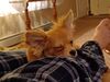 Filename=20240314_003.jpg
Filesize=304KiB
Dimensions=2048x1536
Date added=Apr 11, 2024 20240314_003.jpg