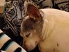 Filename=20240314_004.jpg
Filesize=385KiB
Dimensions=2048x1536
Date added=Apr 11, 2024 20240314_004.jpg