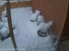Filename=20240315_002.jpg
Filesize=1164KiB
Dimensions=2048x1536
Date added=Apr 11, 2024 20240315_002.jpg