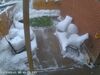Filename=20240315_004.jpg
Filesize=1725KiB
Dimensions=2048x1536
Date added=Apr 11, 2024 20240315_004.jpg