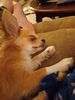 Filename=20240315_006.jpg
Filesize=245KiB
Dimensions=1536x2048
Date added=Apr 11, 2024 20240315_006.jpg