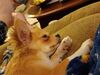 Filename=20240315_007.jpg
Filesize=359KiB
Dimensions=2048x1536
Date added=Apr 11, 2024 20240315_007.jpg