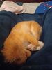 Filename=20240318_002.jpg
Filesize=240KiB
Dimensions=1536x2048
Date added=Apr 11, 2024 20240318_002.jpg