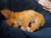 Filename=20240318_003.jpg
Filesize=245KiB
Dimensions=2048x1536
Date added=Apr 11, 2024 20240318_003.jpg