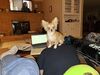 Filename=20240318_010.jpg
Filesize=552KiB
Dimensions=2048x1536
Date added=Apr 11, 2024 20240318_010.jpg