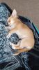 Filename=20240319_001.jpg
Filesize=419KiB
Dimensions=1152x2048
Date added=Mar 16, 2025 20240319_001.jpg