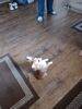 Filename=20240323_002.jpg
Filesize=468KiB
Dimensions=1536x2048
Date added=Mar 16, 2025 20240323_002.jpg