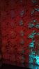 Filename=20240328_198.jpg
Filesize=242KiB
Dimensions=1152x2048
Date added=Mar 16, 2025 20240328_198.jpg