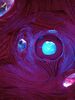 Filename=20240328_225.jpg
Filesize=347KiB
Dimensions=1536x2048
Date added=Mar 16, 2025 20240328_225.jpg