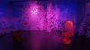 Filename=20240328_236.jpg
Filesize=342KiB
Dimensions=2048x1152
Date added=Mar 16, 2025 20240328_236.jpg