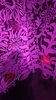 Filename=20240328_237.jpg
Filesize=348KiB
Dimensions=1152x2048
Date added=Mar 16, 2025 20240328_237.jpg
