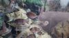 Filename=20240329_001.jpg
Filesize=325KiB
Dimensions=2048x1152
Date added=Mar 16, 2025 20240329_001.jpg