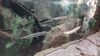 Filename=20240329_002.jpg
Filesize=421KiB
Dimensions=2048x1152
Date added=Mar 16, 2025 20240329_002.jpg