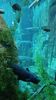 Filename=20240329_004.jpg
Filesize=366KiB
Dimensions=1152x2048
Date added=Mar 16, 2025 20240329_004.jpg