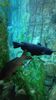 Filename=20240329_005.jpg
Filesize=459KiB
Dimensions=1152x2048
Date added=Mar 16, 2025 20240329_005.jpg