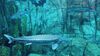 Filename=20240329_007.jpg
Filesize=441KiB
Dimensions=2048x1152
Date added=Mar 16, 2025 20240329_007.jpg