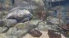 Filename=20240329_009.jpg
Filesize=399KiB
Dimensions=2048x1152
Date added=Mar 16, 2025 20240329_009.jpg
