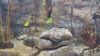 Filename=20240329_010.jpg
Filesize=464KiB
Dimensions=2048x1152
Date added=Mar 16, 2025 20240329_010.jpg