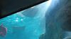 Filename=20240329_012.jpg
Filesize=256KiB
Dimensions=2048x1152
Date added=Mar 16, 2025 20240329_012.jpg