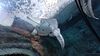 Filename=20240329_020.jpg
Filesize=378KiB
Dimensions=2048x1152
Date added=Mar 16, 2025 20240329_020.jpg
