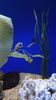 Filename=20240329_028.jpg
Filesize=240KiB
Dimensions=1152x2048
Date added=Mar 16, 2025 20240329_028.jpg