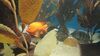 Filename=20240329_033.jpg
Filesize=295KiB
Dimensions=2048x1152
Date added=Mar 16, 2025 20240329_033.jpg