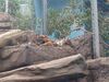 Filename=20240329_037.jpg
Filesize=566KiB
Dimensions=2048x1536
Date added=Mar 16, 2025 20240329_037.jpg