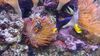 Filename=20240329_042.jpg
Filesize=408KiB
Dimensions=2048x1152
Date added=Mar 16, 2025 20240329_042.jpg