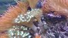 Filename=20240329_043.jpg
Filesize=393KiB
Dimensions=2048x1152
Date added=Mar 16, 2025 20240329_043.jpg
