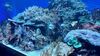 Filename=20240329_045.jpg
Filesize=620KiB
Dimensions=2048x1152
Date added=Mar 16, 2025 20240329_045.jpg