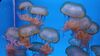 Filename=20240329_053.jpg
Filesize=242KiB
Dimensions=2048x1152
Date added=Mar 16, 2025 20240329_053.jpg