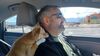 Filename=20240330_005.jpg
Filesize=385KiB
Dimensions=2048x1152
Date added=Mar 16, 2025 20240330_005.jpg