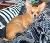 Filename=20240331_002.jpg
Filesize=559KiB
Dimensions=2048x1742
Date added=Mar 16, 2025 20240331_002.jpg