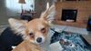 Filename=20240401_001.jpg
Filesize=229KiB
Dimensions=2048x1152
Date added=Mar 16, 2025 20240401_001.jpg