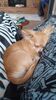Filename=20240401_003.jpg
Filesize=386KiB
Dimensions=1152x2048
Date added=Mar 16, 2025 20240401_003.jpg