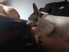 Filename=20240404_003.jpg
Filesize=269KiB
Dimensions=2048x1536
Date added=Mar 16, 2025 20240404_003.jpg