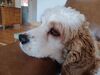 Filename=20240406_006.jpg
Filesize=278KiB
Dimensions=2048x1536
Date added=Mar 16, 2025 20240406_006.jpg