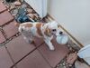Filename=20240406_009.jpg
Filesize=544KiB
Dimensions=2048x1536
Date added=Mar 16, 2025 20240406_009.jpg