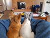 Filename=20240407_003.jpg
Filesize=683KiB
Dimensions=2048x1536
Date added=Mar 16, 2025 20240407_003.jpg