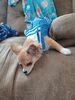 Filename=20240408_001.jpg
Filesize=580KiB
Dimensions=1536x2048
Date added=Mar 16, 2025 20240408_001.jpg
