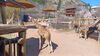 Filename=20240413_002.jpg
Filesize=466KiB
Dimensions=2048x1152
Date added=Mar 18, 2025 20240413_002.jpg