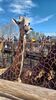 Filename=20240413_007.jpg
Filesize=516KiB
Dimensions=1152x2048
Date added=Mar 18, 2025 20240413_007.jpg