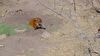 Filename=20240413_009.jpg
Filesize=713KiB
Dimensions=2048x1152
Date added=Mar 18, 2025 20240413_009.jpg