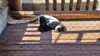 Filename=20240413_015.jpg
Filesize=609KiB
Dimensions=2048x1152
Date added=Mar 18, 2025 20240413_015.jpg